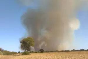 Las Chacritas: el incendio consumi 2.600 hectreas y vuelve a trabajar el avin hidrante