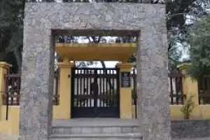 Robaron en la Direccin de Adultos Mayores: se llevaron los regalos del Da del Padre