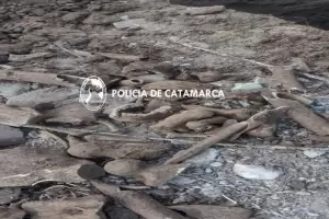 Hallaron restos seos en Fray Mamerto Esqui