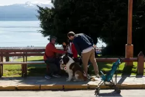 Esclavizan al animal: un joven denunci la tradicional foto con el perro de Bariloche y es viral