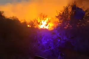 Gracias a un arduo trabajo, el incendio en FME se encuentra contenido en varios sectores