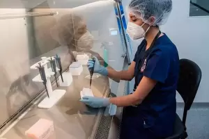 La OMS confirm que vigila el brote de "neumona" no identificada en Tucumn