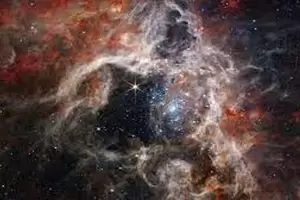El telescopio Webb revel� im�genes de la "Nebulosa de la Tar�ntula"