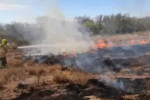 Nuevos incendios forestales afectan a Capayn y Tinogasta