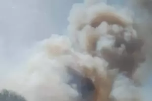 Temporada alta: Incendio forestal en Cuesta del Totoral