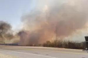 Fiscala de Estado present denuncia penal por los incendios de Ambato y Pacln