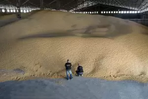 Desarticulan maniobras fraudulentas de comercializaci�n de granos por m�s de 53.000 toneladas