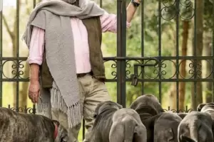 Falleci� el productor teatral Lino Patalano, columna vertebral del espect�culo argentino