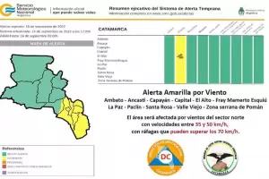 Rige alerta amarilla por vientos fuertes para gran parte de la provincia