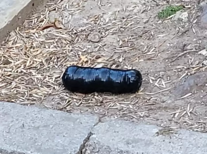 artefacto juez vialidad