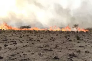 Incendio en el cerro Ancasti: las lneas energticas fueron afectadas por las llamas