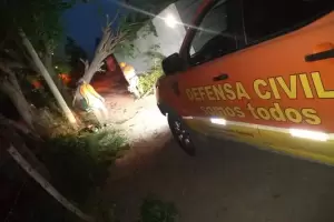 Por los fuertes vientos, un rbol cay sobre una vivienda