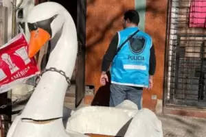 Avisaba que tena dosis de droga con un "cisne blanco" en la puerta de su casa