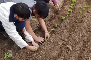Orgullo catamarque�o: Alumnos de la Unidad Institucional N�1 "Riberas del��Valle fueron premiados a nivel nacional