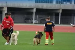 Athos y su gua aprobaron la competencia mundial en Rumania