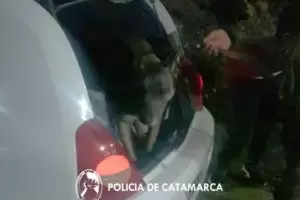 Secuestraron veinticuatro dosis de LSD en un puesto de control de El Rodeo