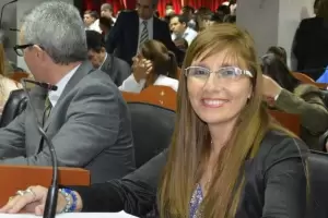 La diputada Anala Brizuela apunt contra el sistema de Salud pblica