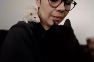 Una mujer salv a 6 mil ratas, convive con 20 y tiene un gatito