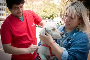 Campaa gratuita de vacunacin y desparasitacin a mascotas en la Plaza 25 de Mayo