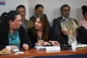 Ley de Humedales: La Cmara de Diputados de la Nacin escuchar a los gobernadores
