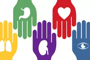 Hoy se conmemora el Da Mundial de la Donacin de rganos, Tejidos y Trasplantes