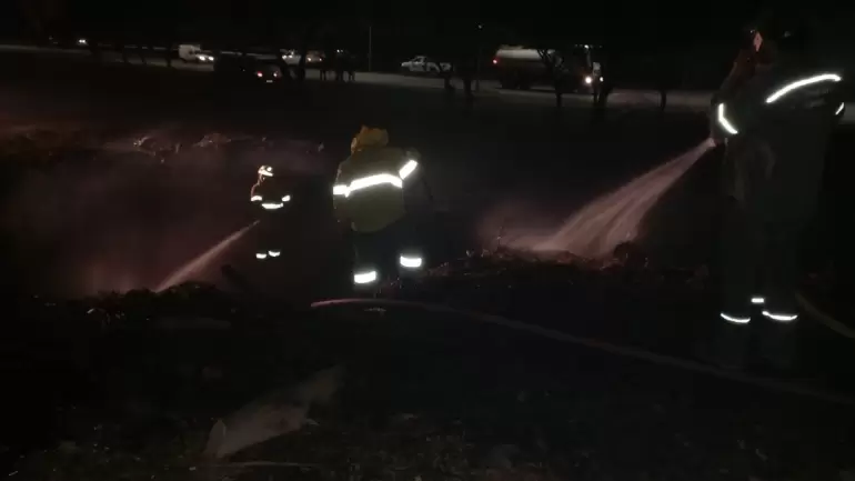 parque incendio cachorros