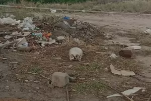 Macabro hallazgo en El Hueco: Iban en una moto y hallaron en la avenida un crneo humano