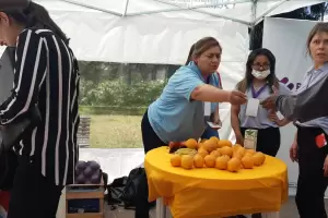 Alimentacin saludable: el Programa Provincial de Celiaqua apuesta a ms lugares con menes libres de glten