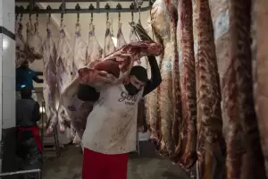 En octubre, las exportaciones de carne vacuna cayeron casi 6%, pero subieron 10% en lo que va del ao