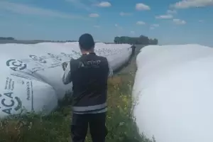 La AFIP detect una evasin de ms de $160 millones en la cadena de comercializacin de granos