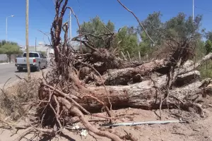 Vecinos de Fiambal denuncian dao ecolgico por parte de la Municipalidad