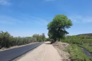 Inici� la pavimentaci�n de la Ruta 141 en Capay�n