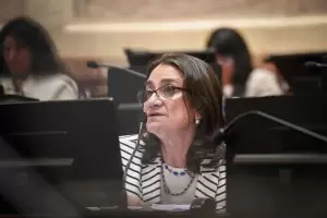 Luca Corpacci y Guillermo Andrada cruzaron a Fama por sus dichos en el Senado: "No se debe permitir la difamacin"