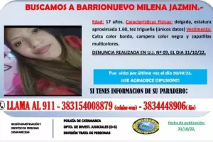 Intensa bsqueda de una adolescente de 17 aos