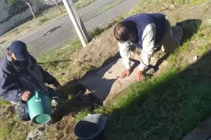 Siguen las tareas de refaccin y limpieza en establecimientos educativos