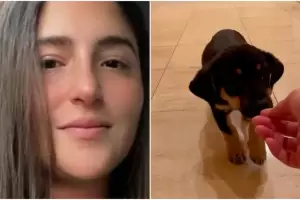 Citaron a indagatoria a la joven de Recoleta que le rob un cachorro a un hombre en situacin de calle