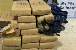 Gendarmera detiene a dos personas con ladrillos de marihuana