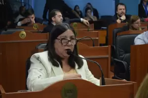 Diputados: Para el oficialismo, el conflicto de Salud no puede resolverlo la Legislatura