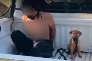 Fue detenido y su perro lo acompa hasta la comisara