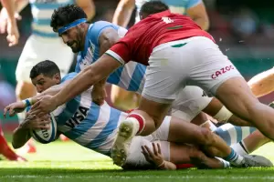 Los Pumas se miden ante Gales: horario, TV y formaciones