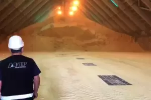 La Aduana suspendi del registro de exportadores a 50 empresas por no liquidar divisas