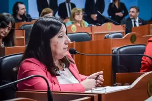 Diputada del Frente de Todos, sali a cruzar a la oposicin por los pedidos de informes