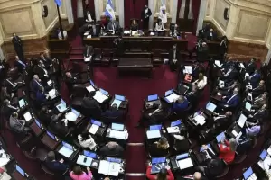 DNU: senadores de dos bloques rechazaron las reformas de Milei
