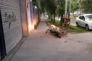 Un polica se resisti a un robo y termin matando a un ladrn menor de edad