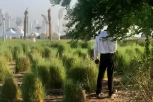 Efectivos de seguridad denuncian explotacin laboral en Qatar: "cobramos menos de 12 dlares por da"