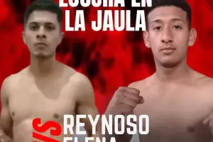 Los Altos albergar las MMA y Kick Boxing