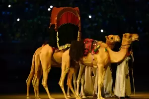Ceremonia inaugural: en medio de las polmicas, arranc Qatar 2022