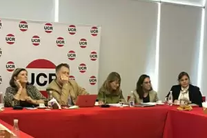 La Fundacin Alem puso en funcionamiento su Comisin de Infancia y Adolescencia