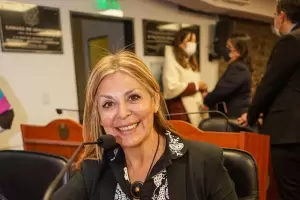 Diputada present un proyecto para declarar la Emergencia Pblica en materia de Violencia de gnero