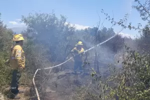 Incendio forestal en Nueva Coneta: brigaditas trabajan en la zona para contener las llamas